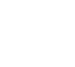 Wrong Skate Logo